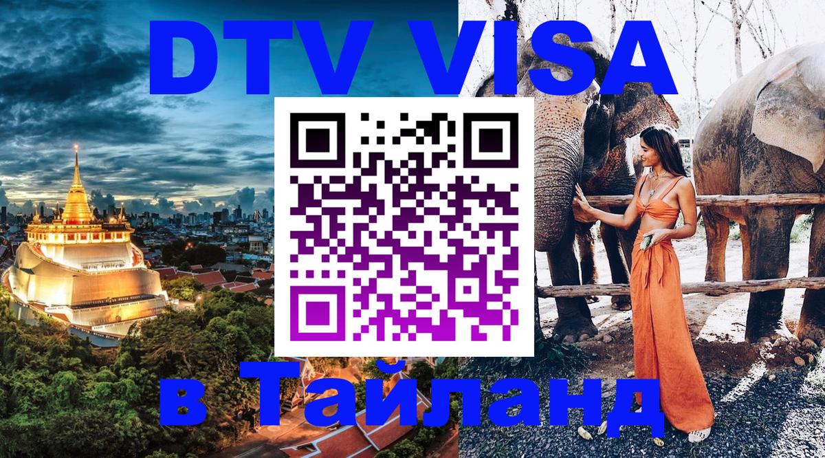 Сколько стоит DTV виза — актуальные цены, оформление даже без документов - Эр-Рияд 